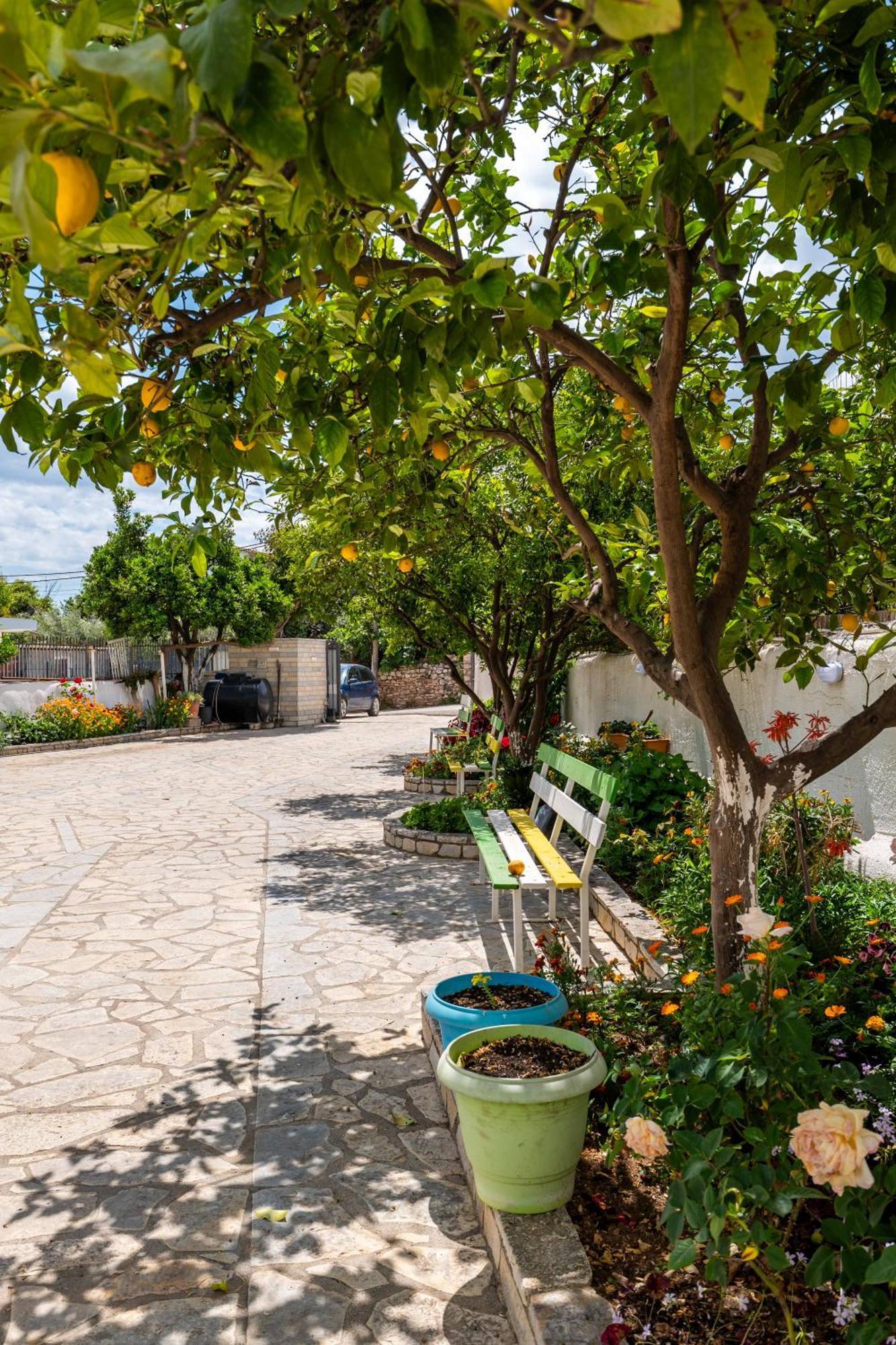 Casa de hóspedes Artur2 3*